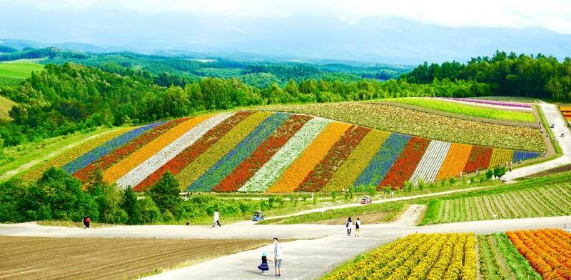 Head to Hokkaido to Enjoy Japan Travel on a Budget