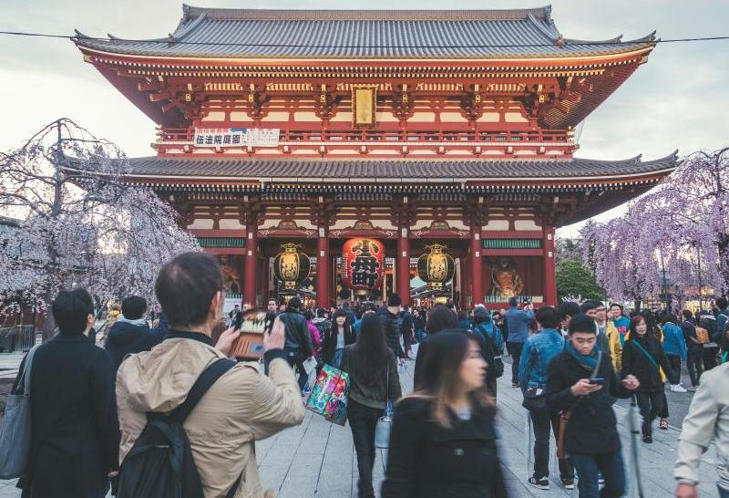 Plan a Japan Cherry Blossom Tour