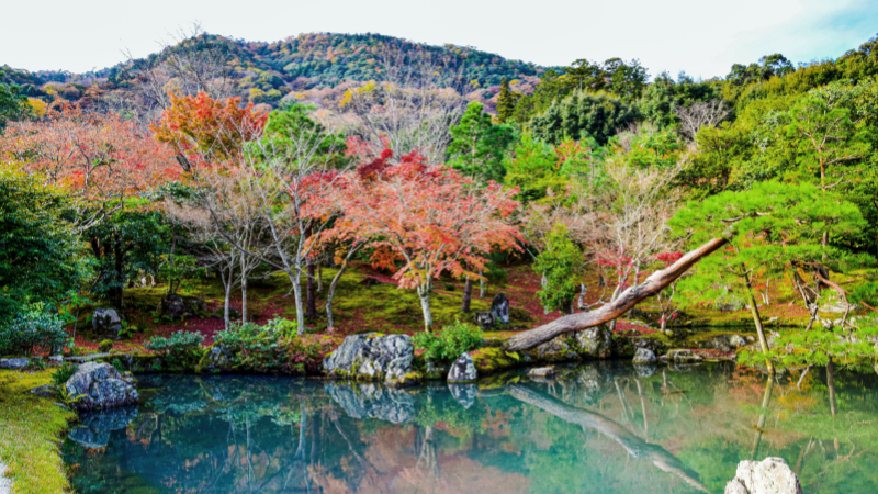 Early fall foliage in Arashiyama, Kyoto, Japan
