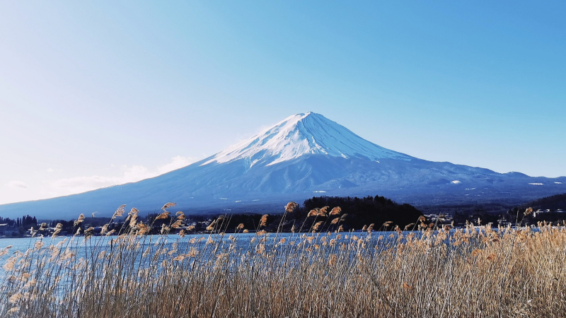 Viewing Mt. Fuji from the Kawaguchiko Observation Deck