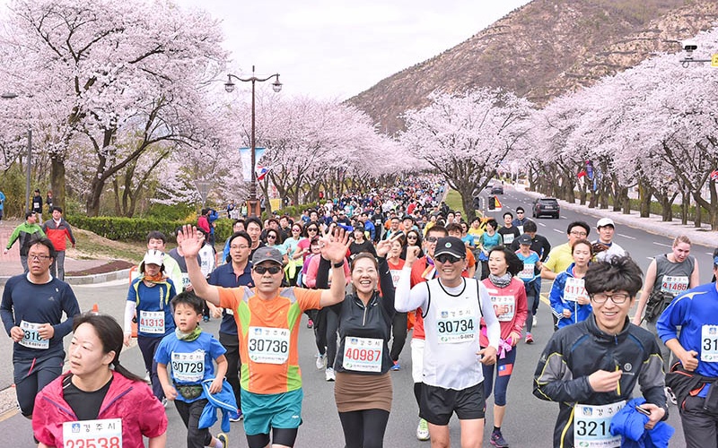 Gyeongju Cherry Blossom Festival & Marathon