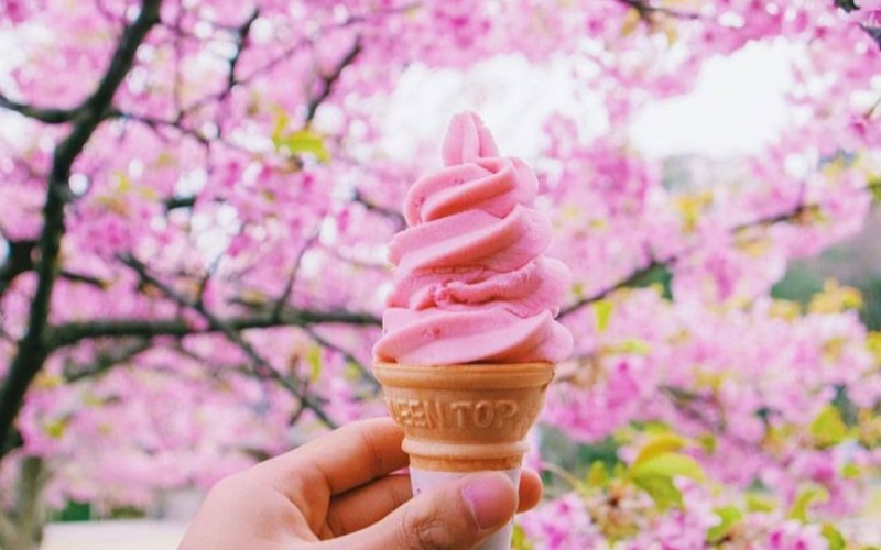Cherry Blossom Ice Cream