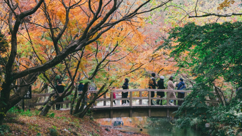 Fall foliages in Yufuin, Oita, Kyushu