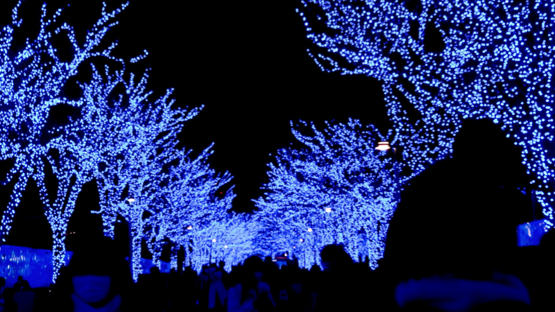 Shibuya Blue Cave Tunnel