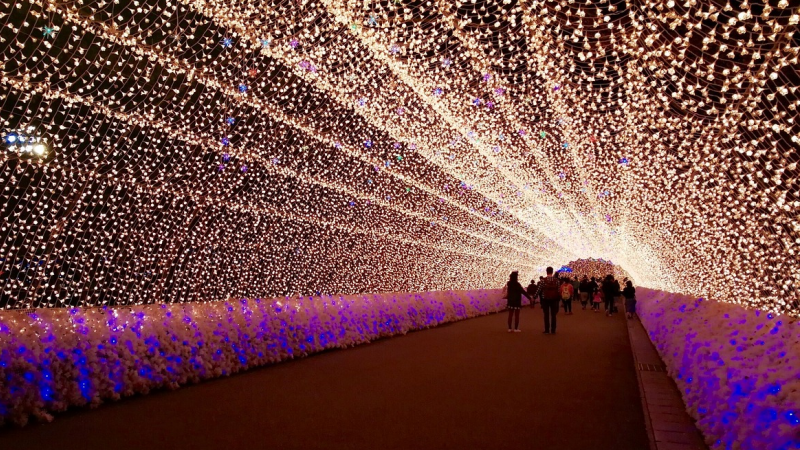 Amazing Light Illumination at Nabano no Sato, Japan 