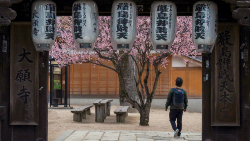 Plum Blossoms at Daigan-ji, Hiroshima