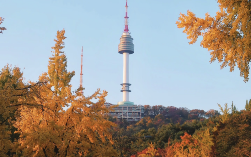 The Autumn Foliage Scenery of Namsan Tower in South Korea