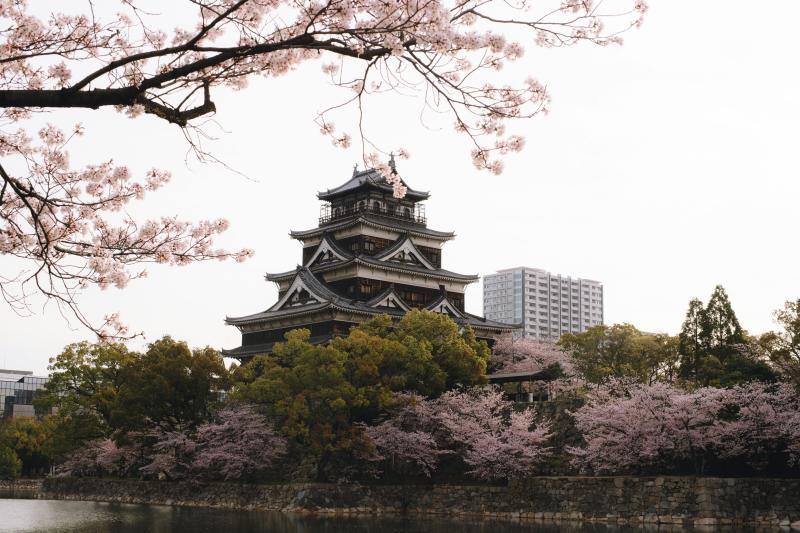 Hiroshima Castle Sakura