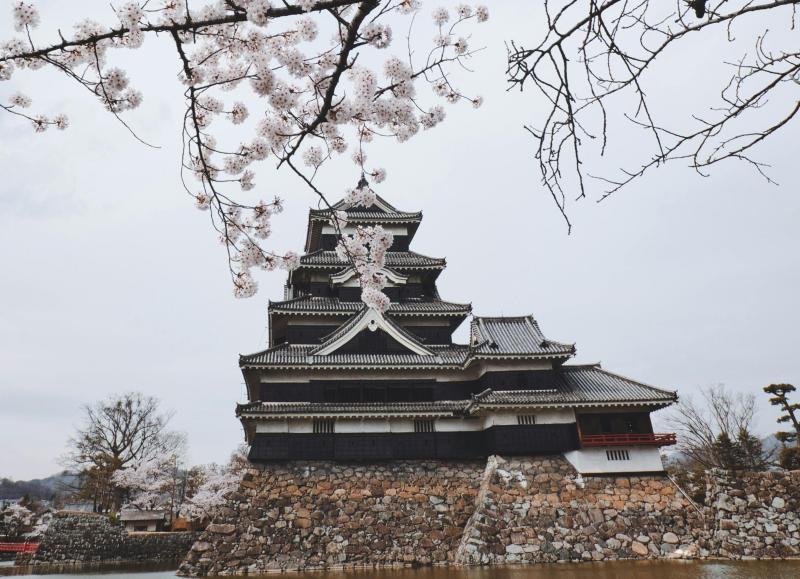 Matsumoto Cherry Blossom Season