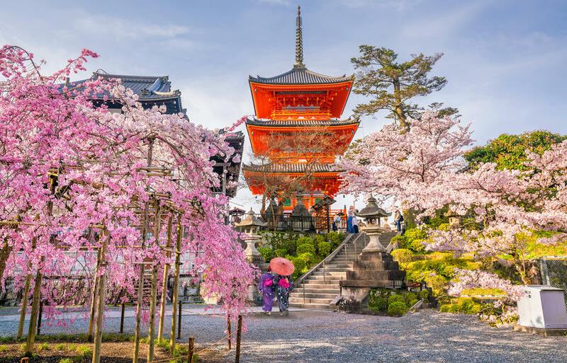 Kiyomizu-dera Sakura