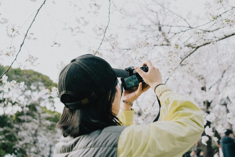 Capturing Sakura in Japan