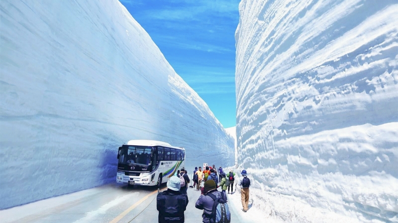 Visitors walk beside towering snow walls at the Tateyama Kurobe Snow Corridor.