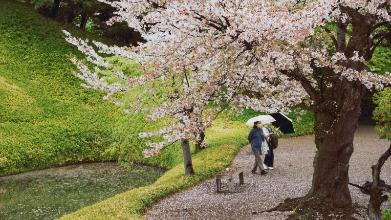 It sometimes rains moderately in Japan in April.