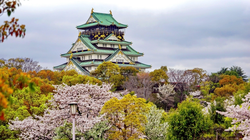 Osaka Castle surrounded by blooming cherry blossoms and lush greenery.