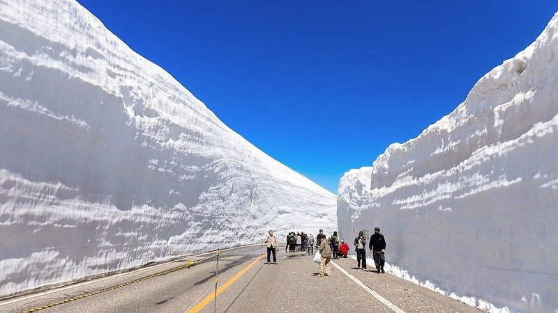 Visitors walk through the towering snow walls of the Tateyama Kurobe Alpine Route.