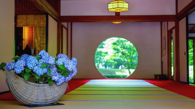 Blue hydrangeas brighten up the quiet tatami room.