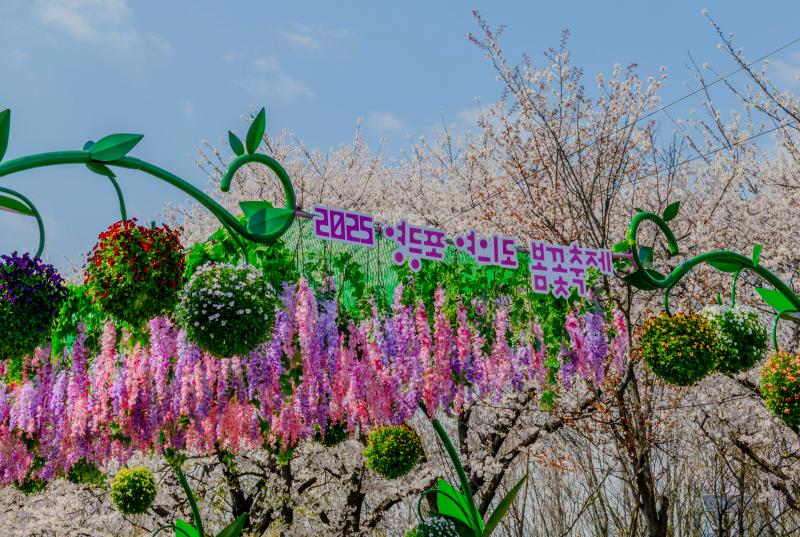 Yeouido Spring Flower Festival