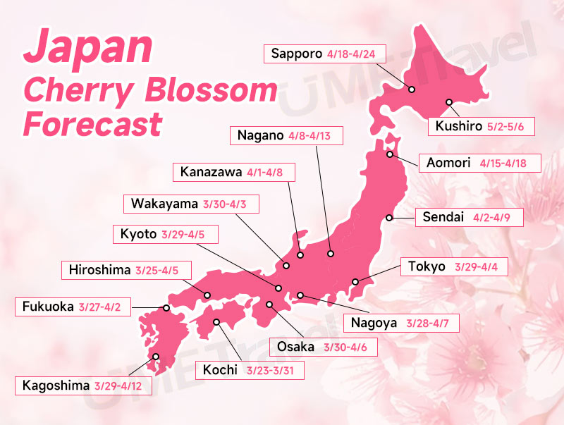 Japan Cherry Blossom Map 2026