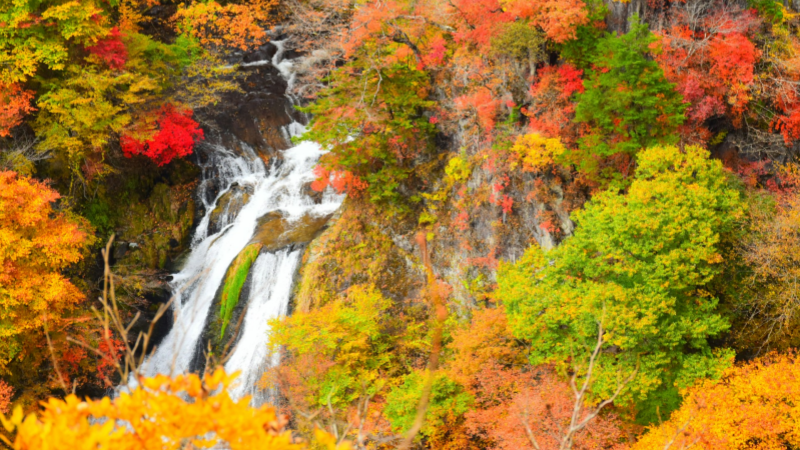 The Nikko Kirifuri waterfall in all its autumn glory.
