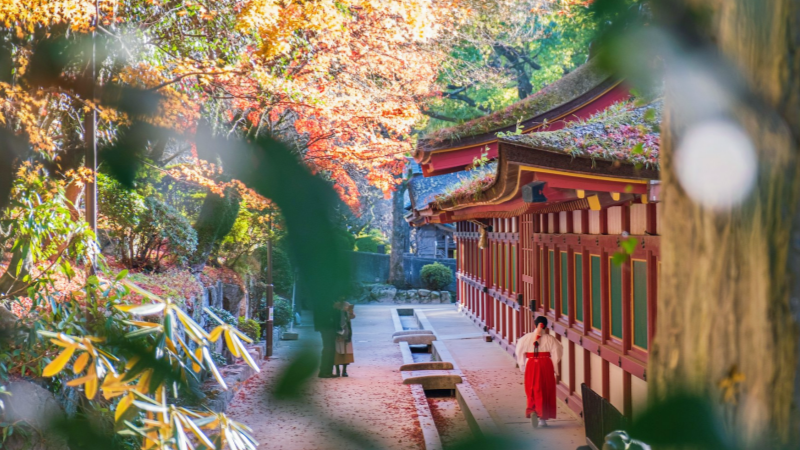Autumn colors at Dazaifu Tenmangu Shrine in Fukuoka.