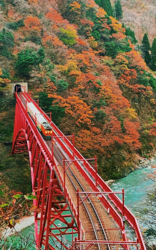 Kurobe Scenic Train Tour
