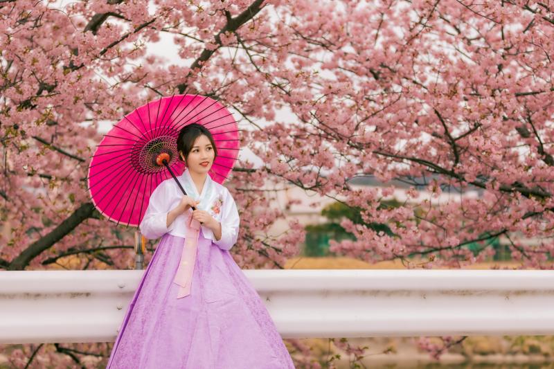 Hanbok Experience in Spring in Seoul