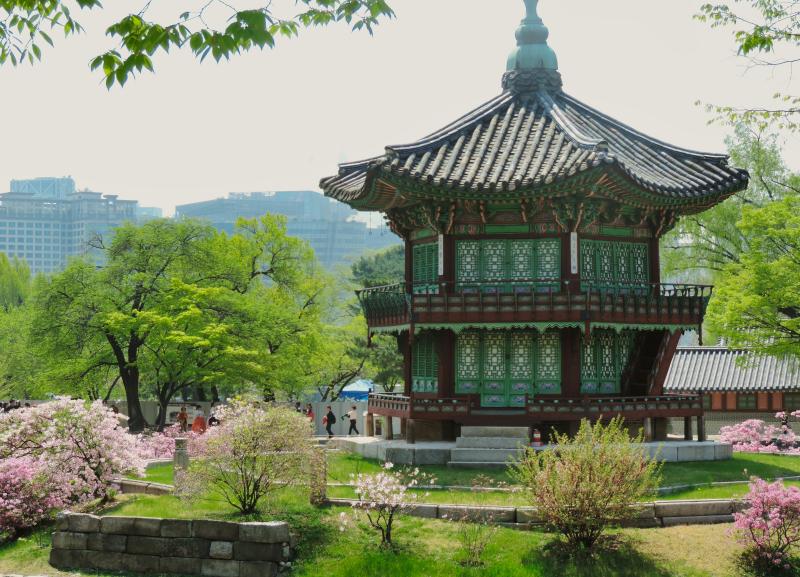 Experience Seoul's Spring at Gyeongbokgung Palace