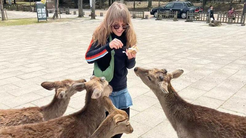 Kids Can Make Friends with Deer in Nara Park