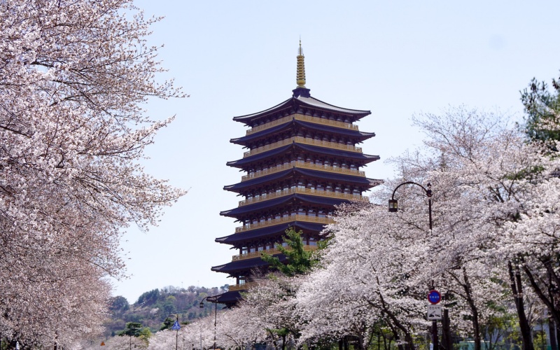 Bulguksa Temple & Seokguram Grotto