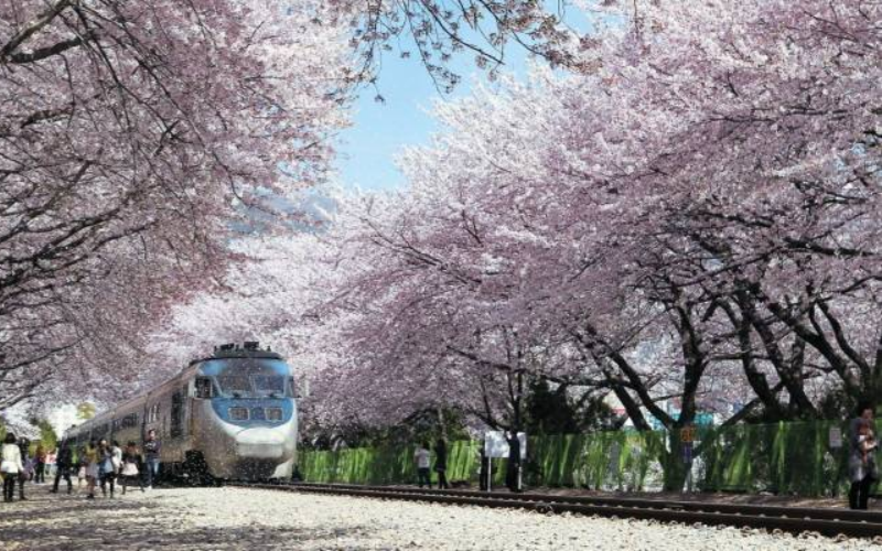 Gyeongju City Railway Station & Hwangnam-dong Area