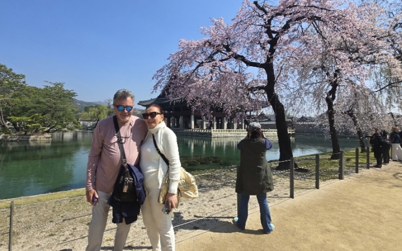 Spring in South Korea