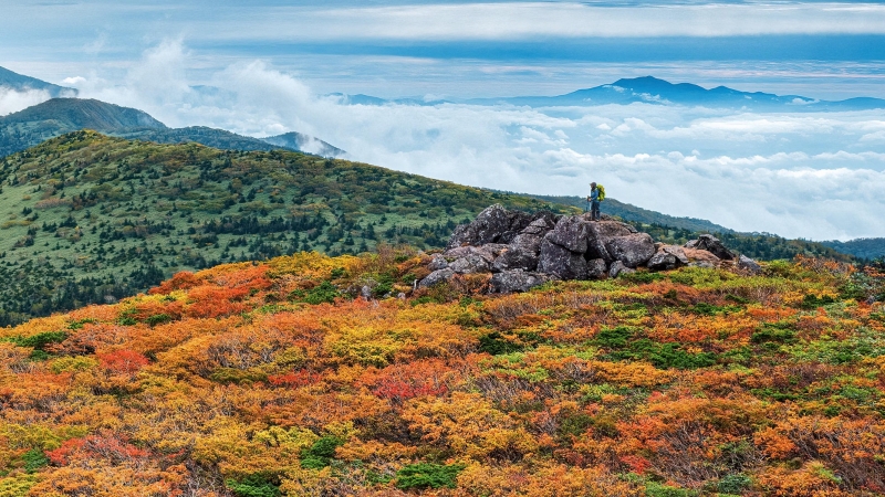 Vibrant autumn colors blanket Hachimantai’s mountain peaks in Japan’s Tohoku region.