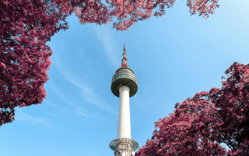 Spring View of Seoul Tower