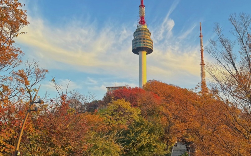 Seoul Fall Foliage Scenery