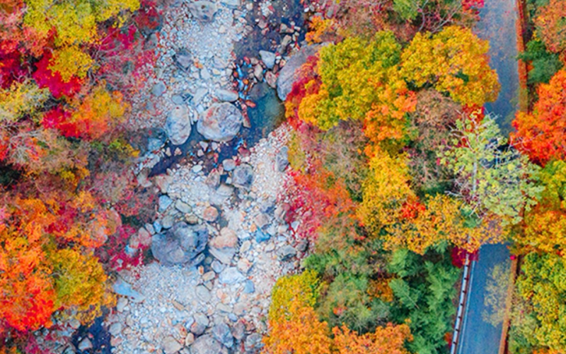 The fall foliage scenery of Jirisan National Park