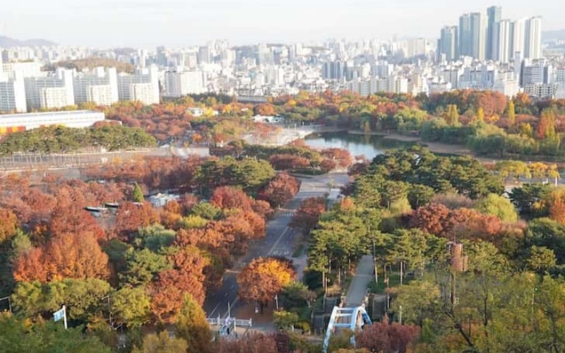 Fall Foliage City Landscape in South Korea
