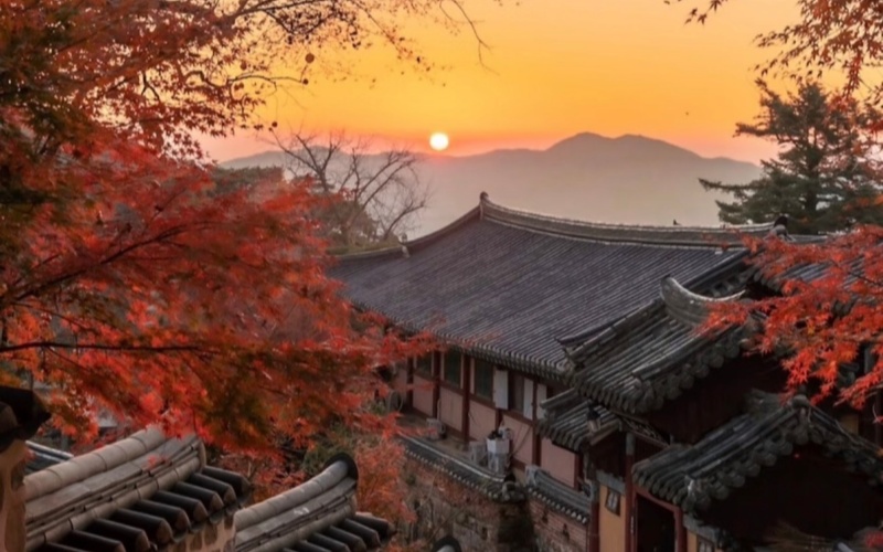 Stay in a Hanok Surrounded by Fall Foliage