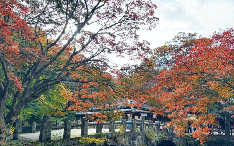Ancient Temples Nestle in Fall Forests