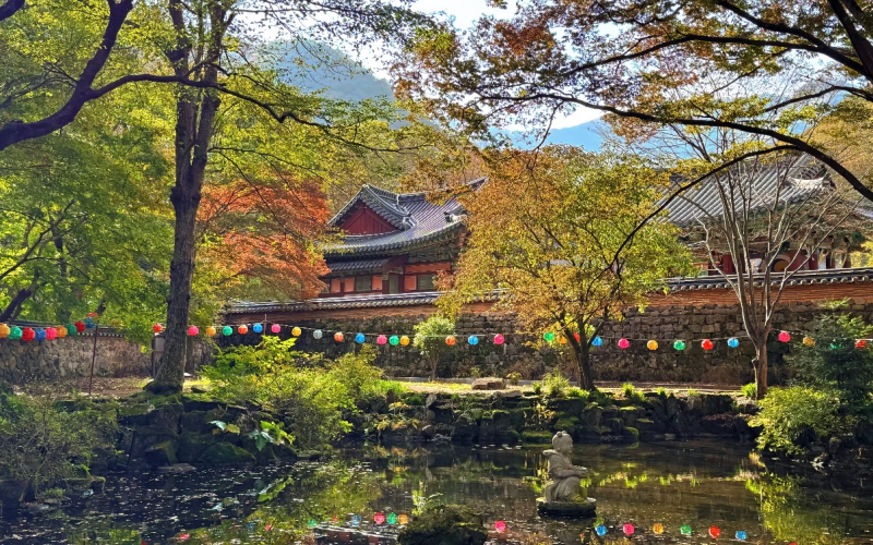 Autumn Leaves at National Park