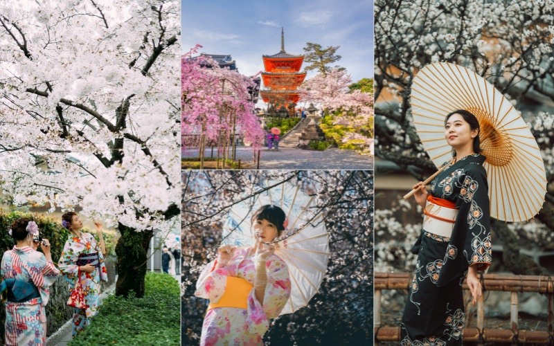 Memorable Japan Sakura Moments in a Kimono