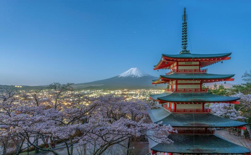 Japan Mount Fuji Cherry Blossom Festival
