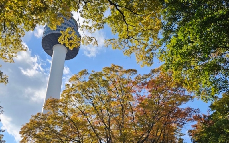 Seoul Tower Blends into the Autumn Foliage