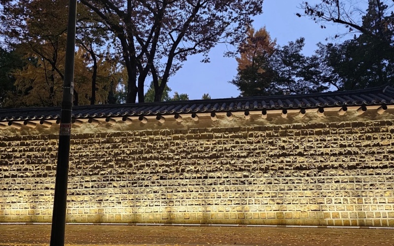 maple-leaves-fall-along-deoksugung-stone-wall-road.jpg