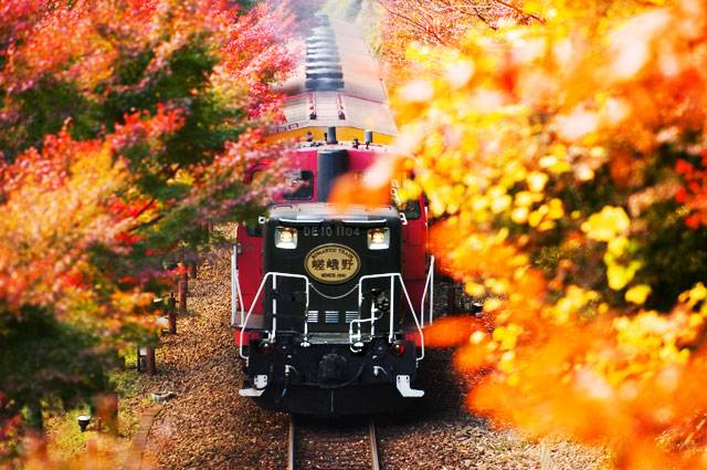 Sagano Romantic Train in the Autumn Arashiyama