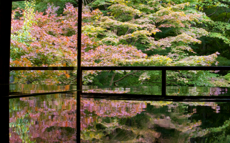 Rurikoin captures Kyoto’s tranquil autumn beauty.