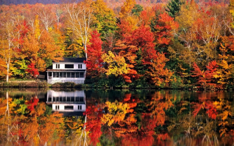 The vibrant autumn leaves mirrored in Anapji Pond