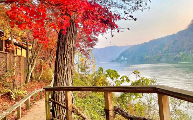 Autumn Settles over Bomun Lake