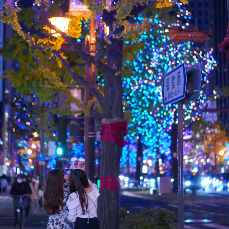 Each December, Midosuji in Osaka is illuminated by colourful winter lights.