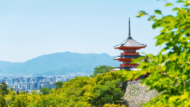 Take in the lush green views at Kiyomizu-dera on a bright day in May.