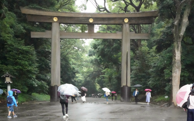 Rainy weather at Meiji Jingu Shrine as visitors walk beneath umbrellas.